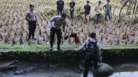 66e0fcda04ea0-anjing-pelacak-k-9-temukan-bukti-baru-di-kasus-pembunuhan-gadis-tanpa-busana_1265_711