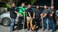 IMG-20260818-WA0050